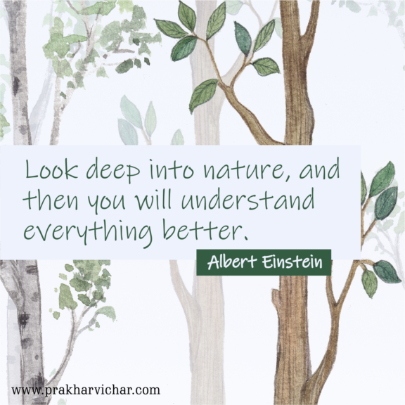 “Look deep into nature, and then you will understand everything better.”-Albert Einstein