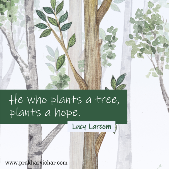 “He who plants a tree, plants a hope.”-Lucy Larcom