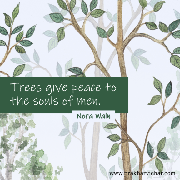 “Trees give peace to the souls of men.” -Nora Waln