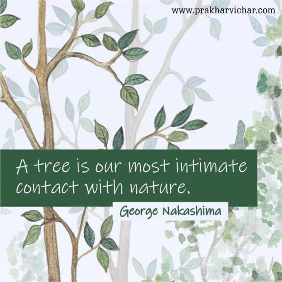“A tree is our most intimate contact with nature.” -George Nakashima